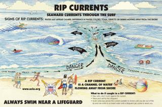Beach & Water Safety Tips